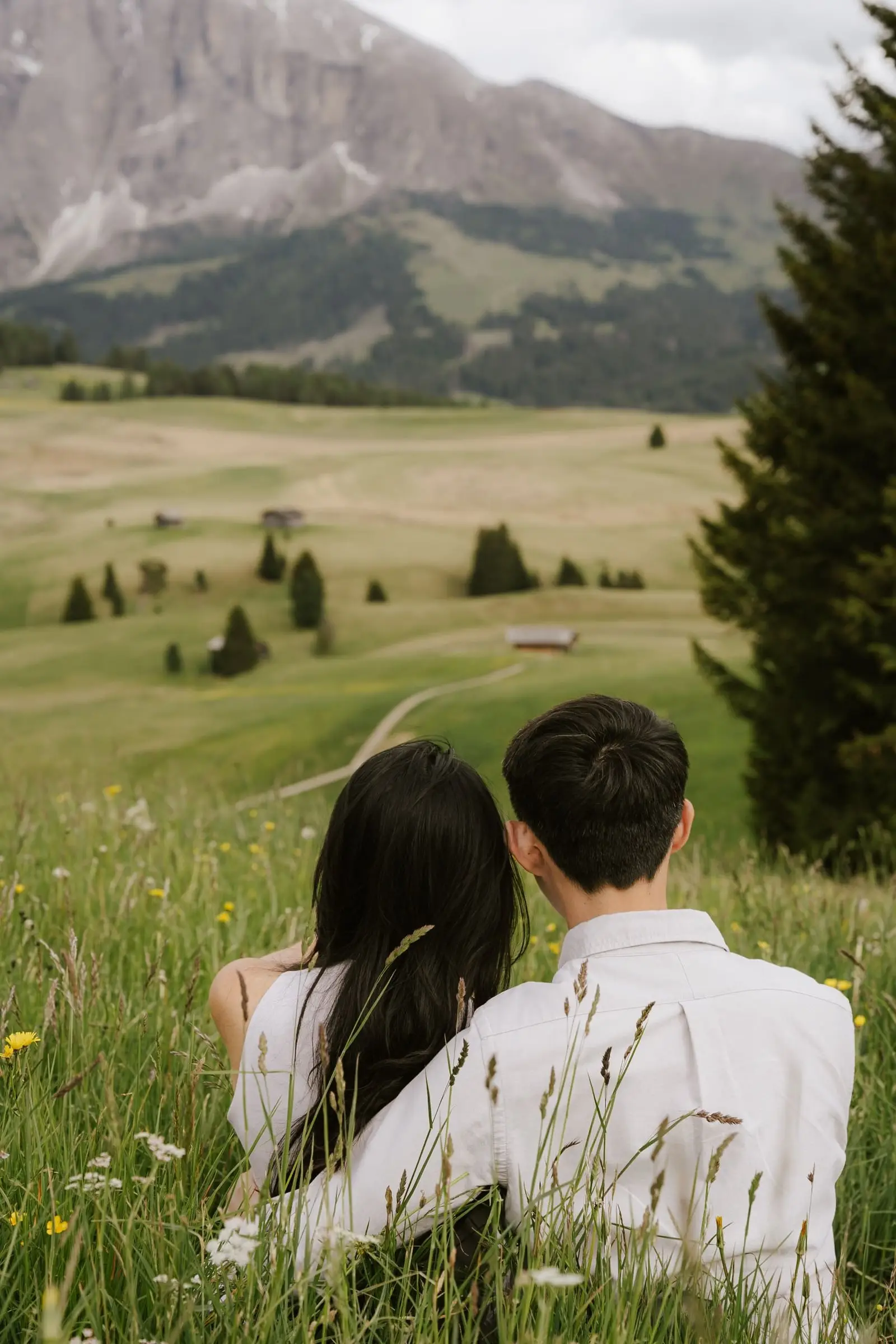 Couple seen from behind sitting in tall grass, looking at the Dolomites
