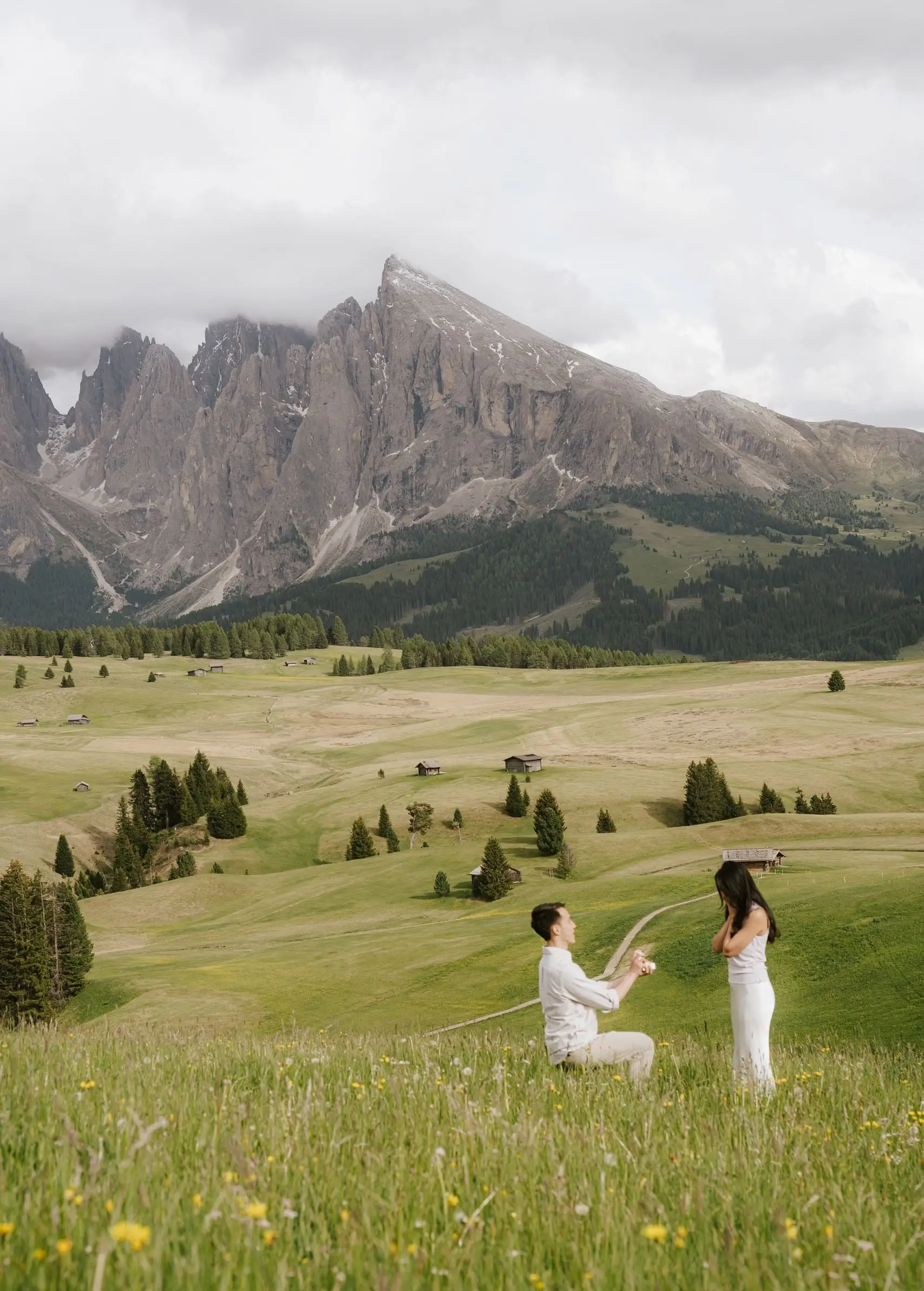 Man proposing on one knee in the green meadows of the Alpe di Siusi
