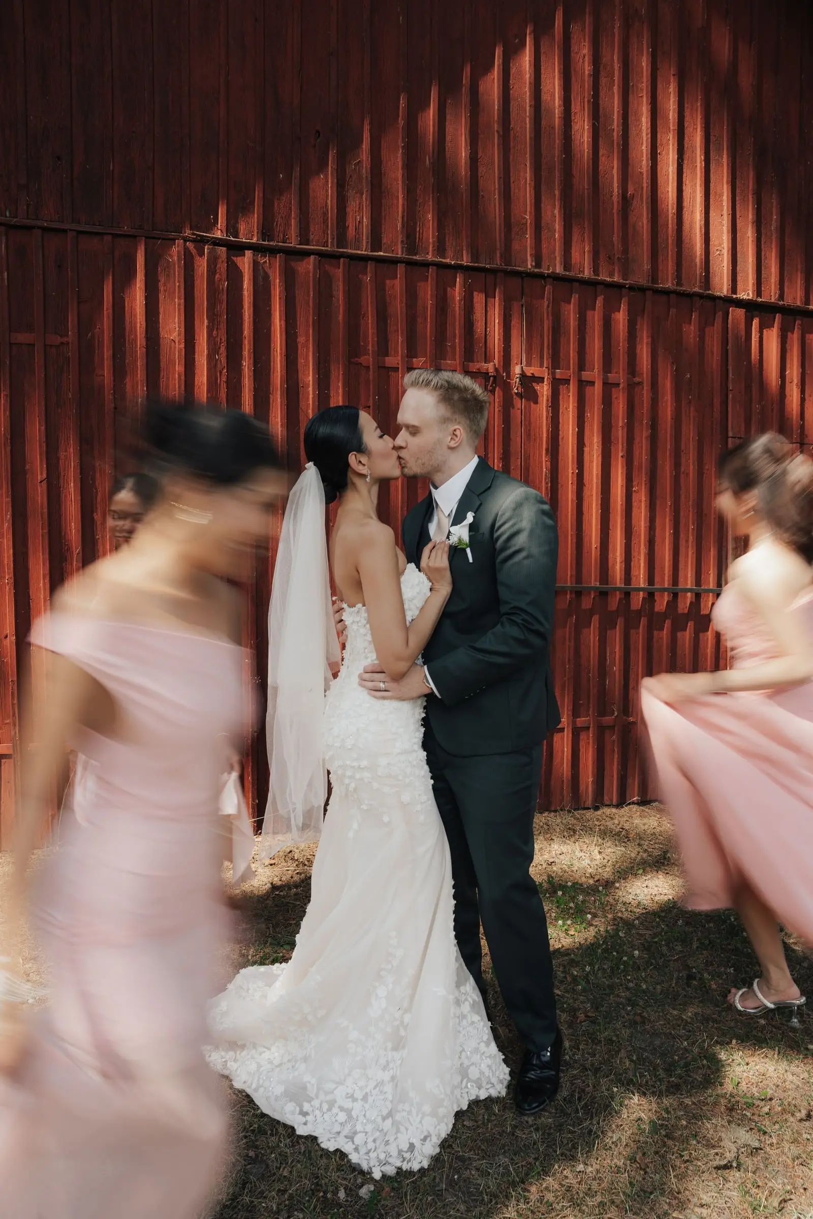 Newlyweds kissing against a red barn as bridesmaids rush past