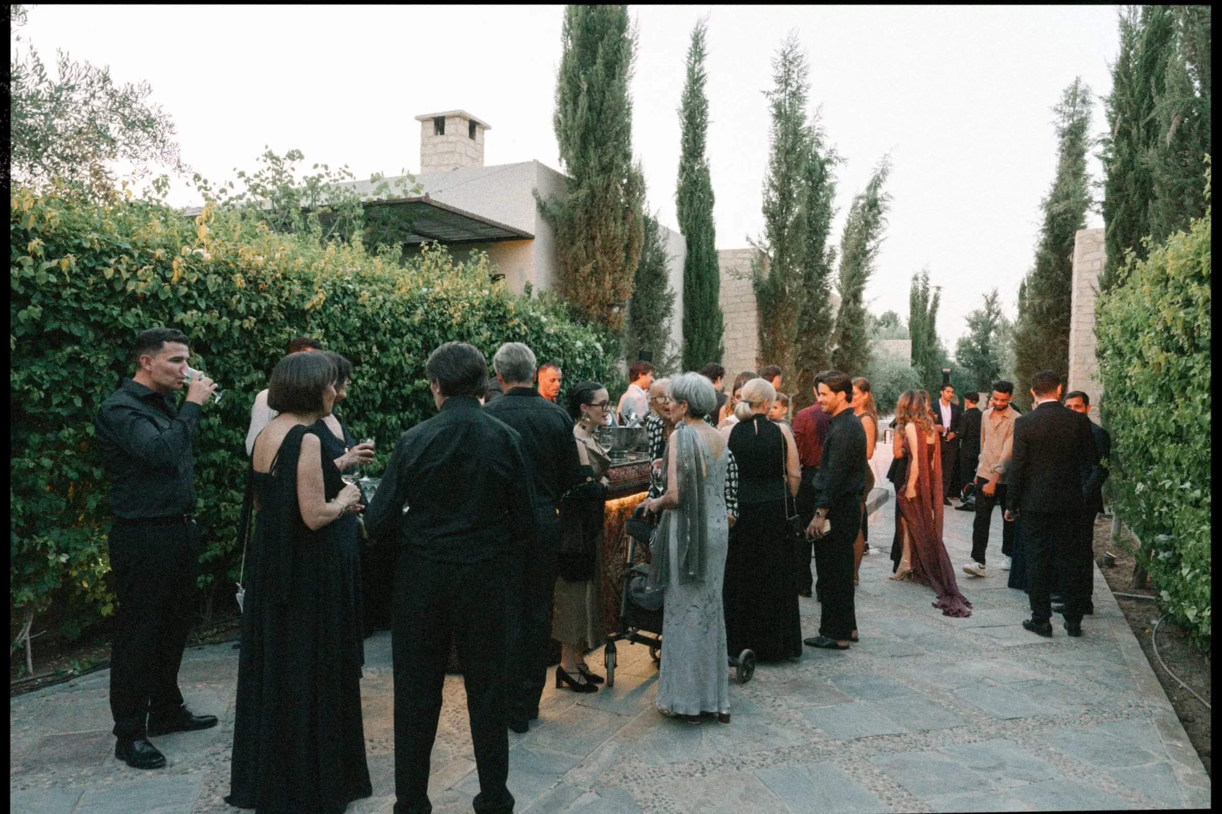 Guests in evening wear arriving along a cypress-lined path, on film