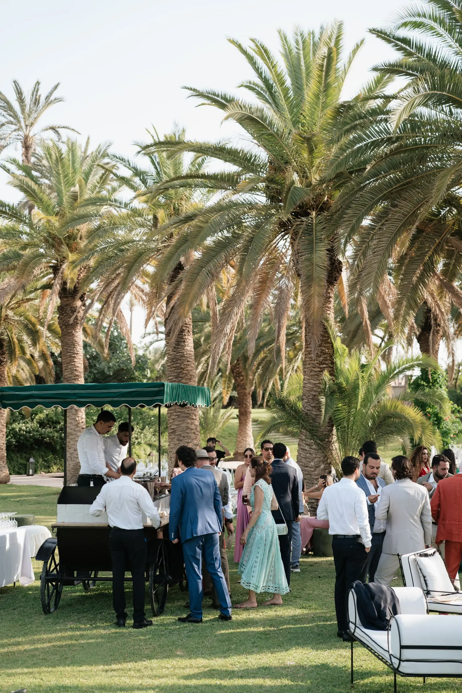 Guests gathering at a drinks cart under tall palm trees