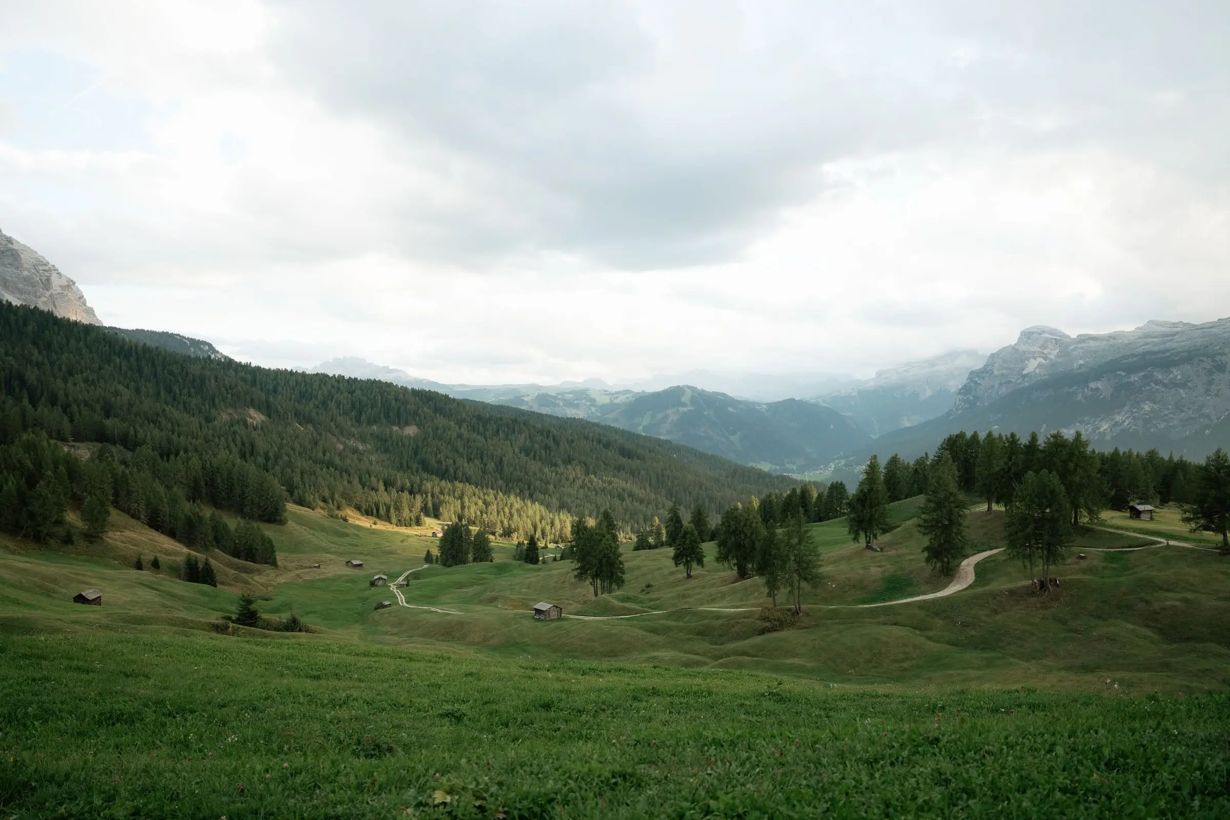 Green valley of Val Badia with forests and a winding path