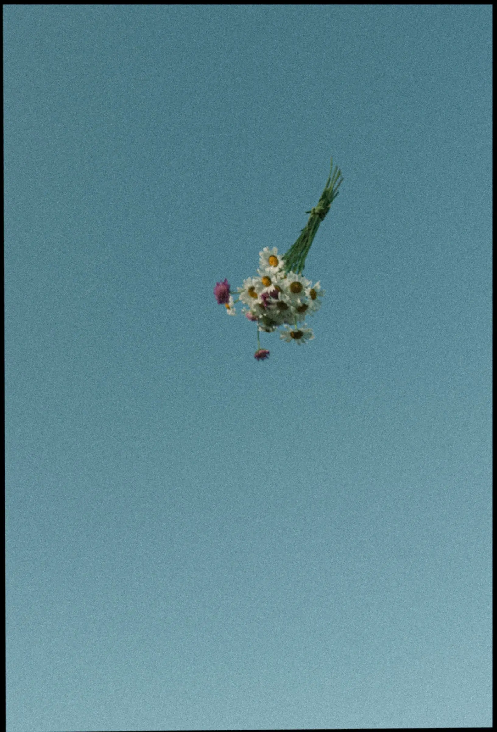 Wildflower bouquet thrown into the blue sky, on film