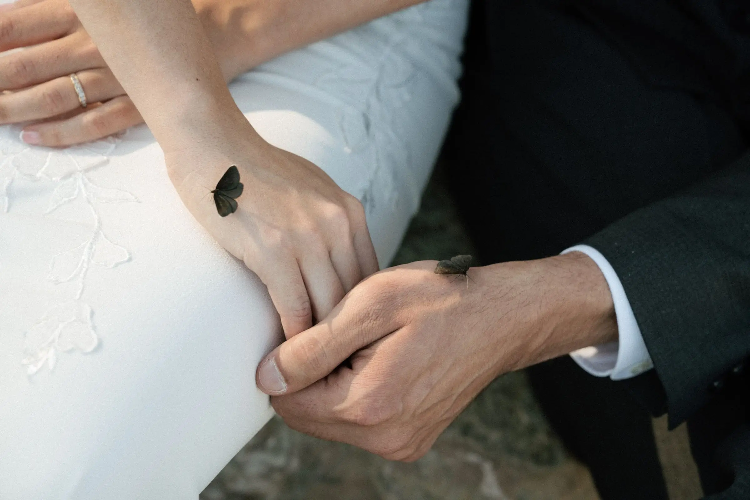 Close-up of their hands with a small butterfly on her hand