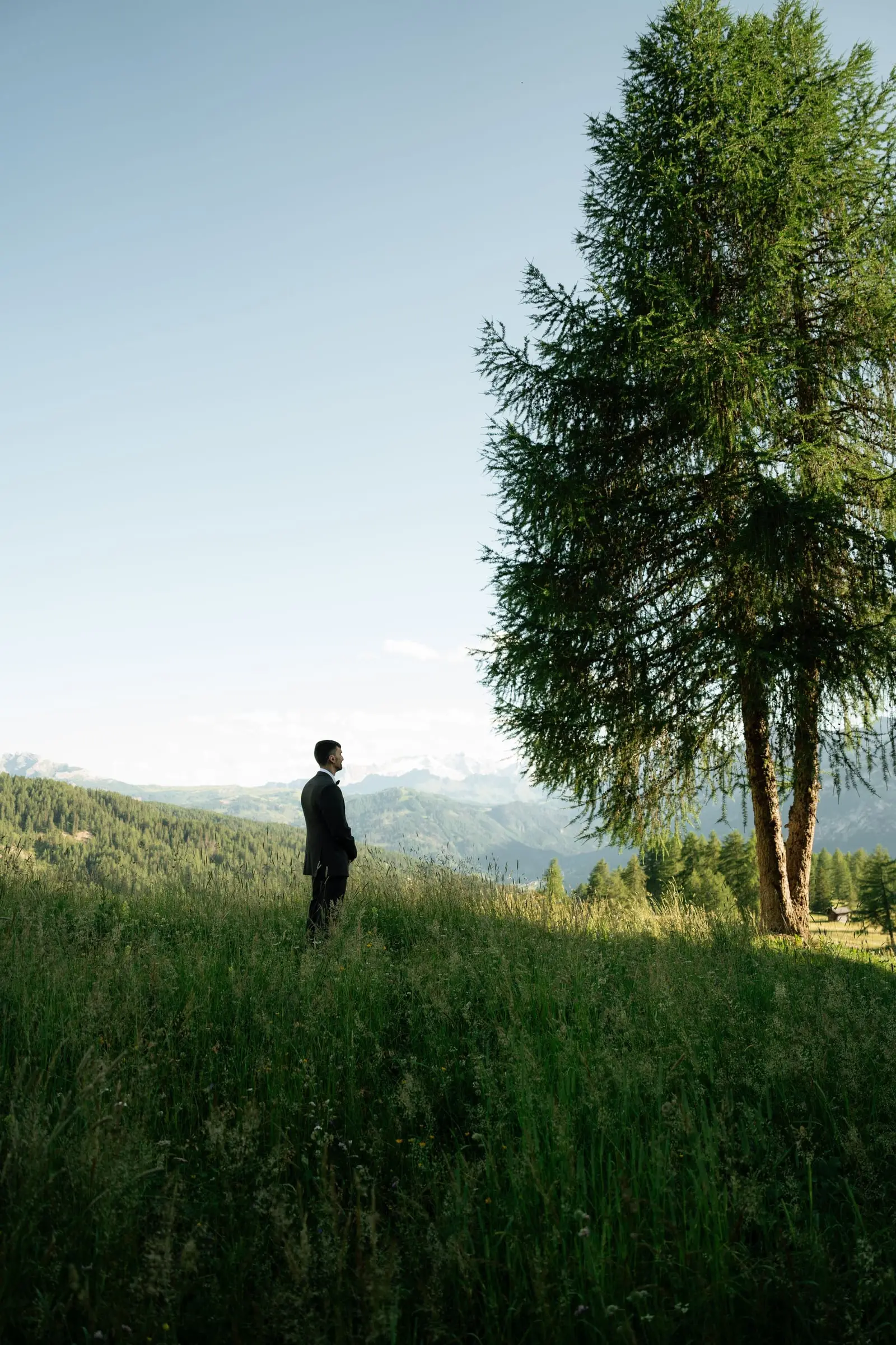 Groom waiting alone in the meadow beside a large larch