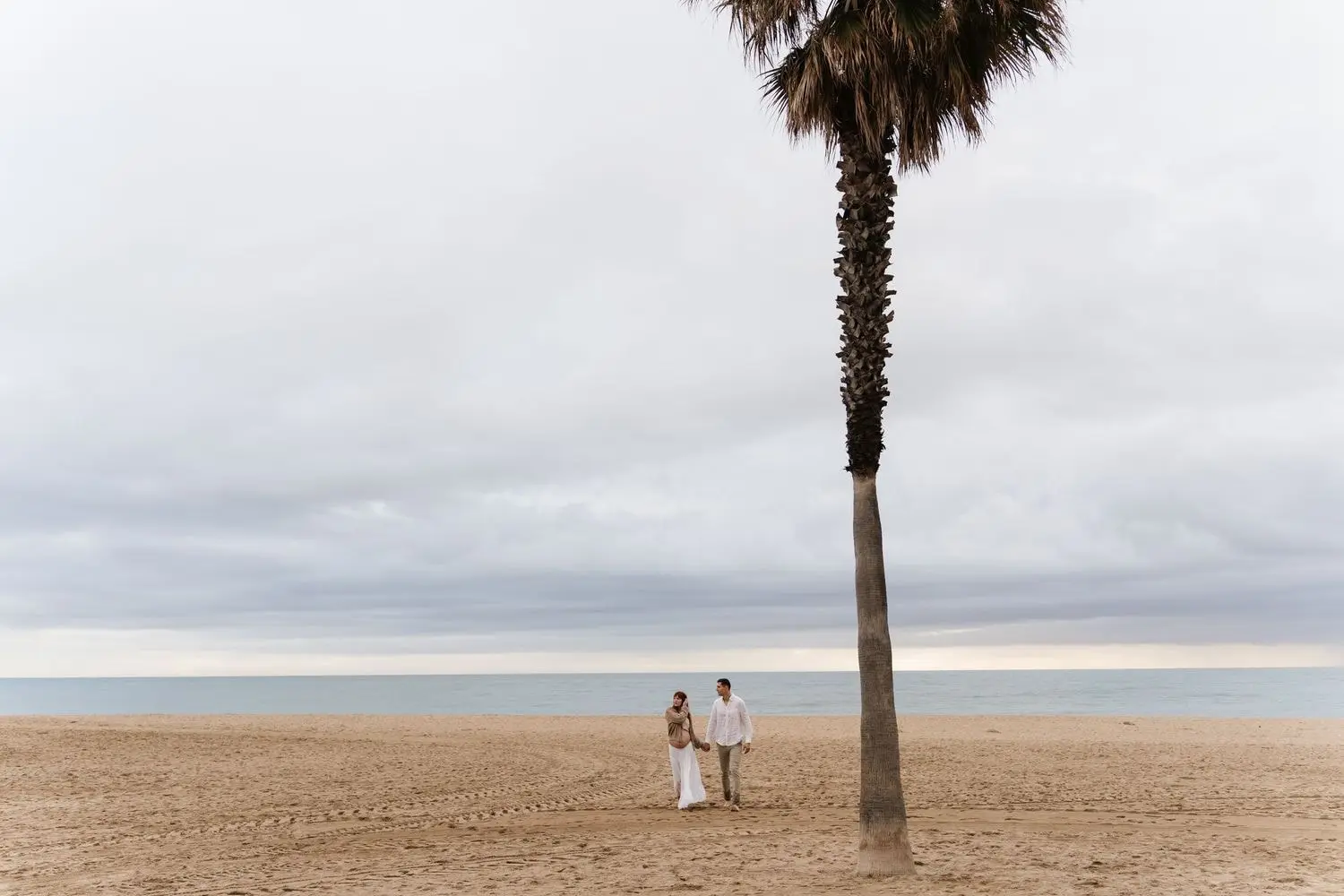 Couple on a wide beach beside a lone palm tree